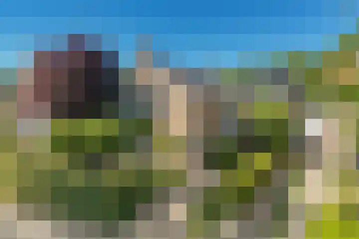 Ooievaarslaan 16 Sneek thumbnail 49