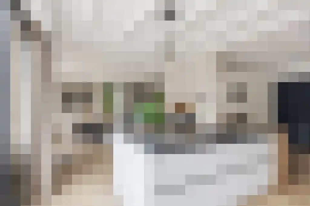 Ooievaarslaan 27 Sneek thumbnail 11