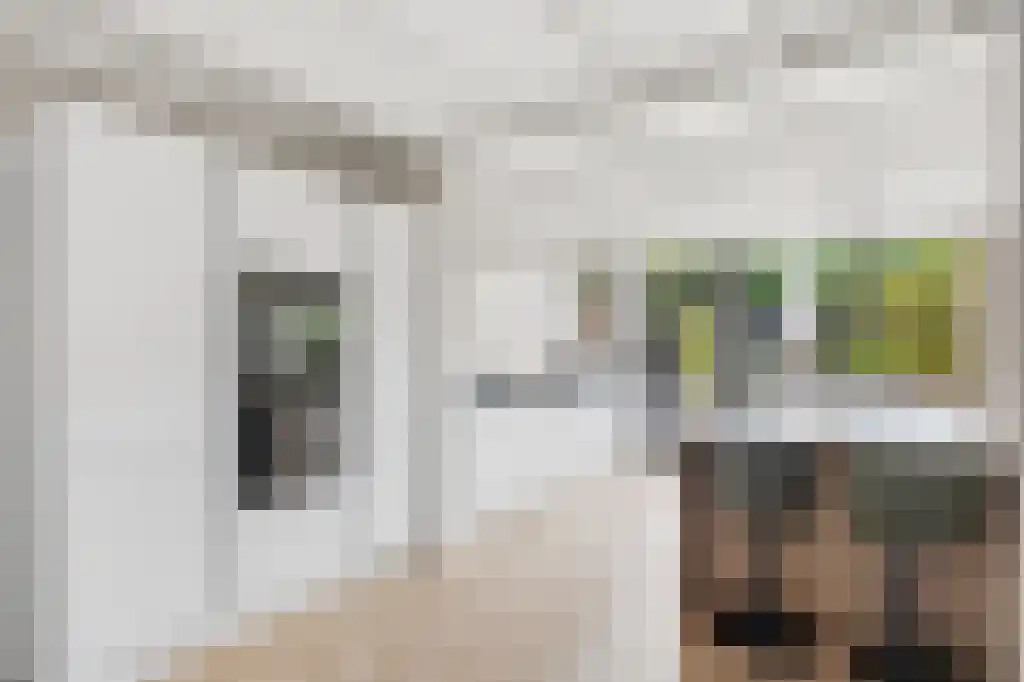 Ooievaarslaan 27 Sneek thumbnail 13