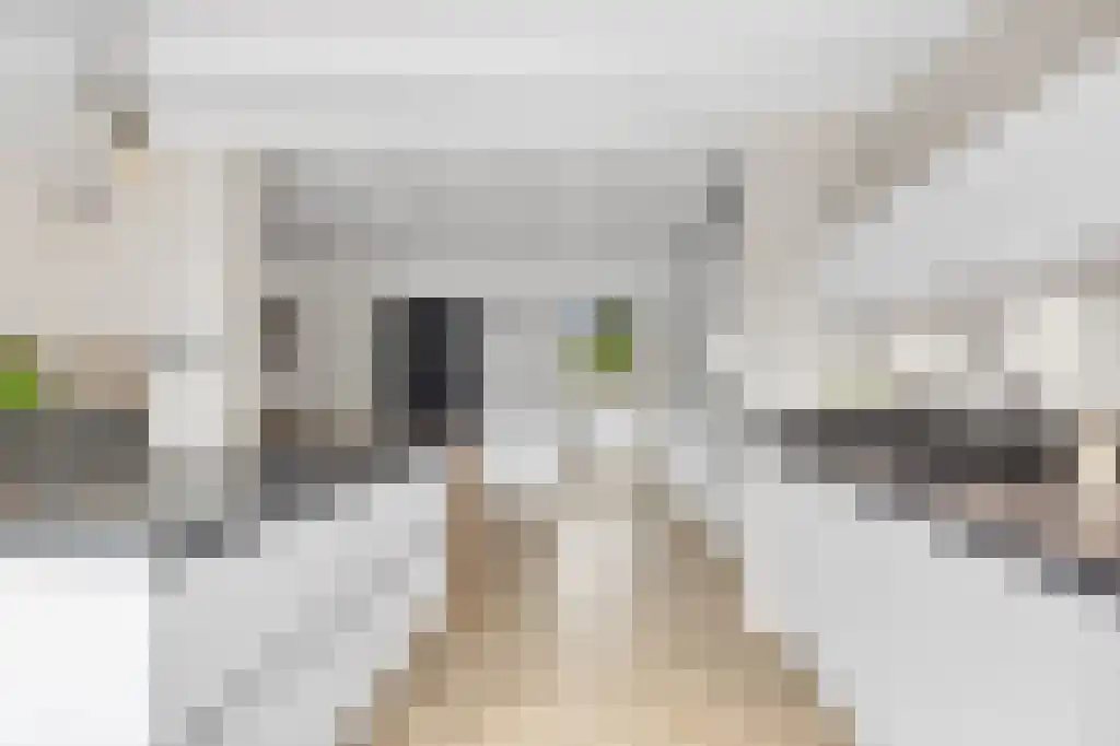 Ooievaarslaan 27 Sneek thumbnail 16