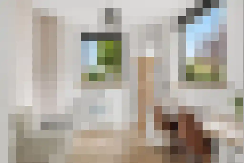 Ooievaarslaan 27 Sneek thumbnail 17