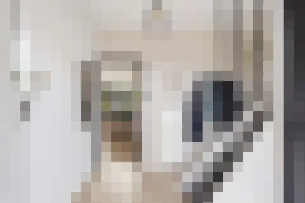 Ooievaarslaan 27 Sneek thumbnail 18