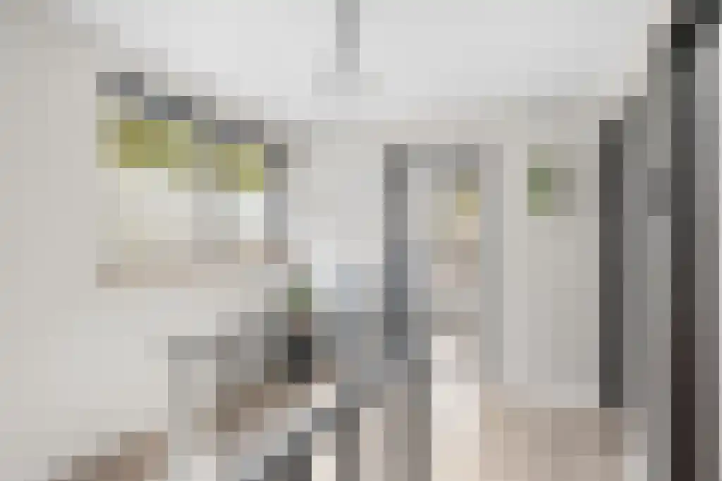 Ooievaarslaan 27 Sneek thumbnail 20