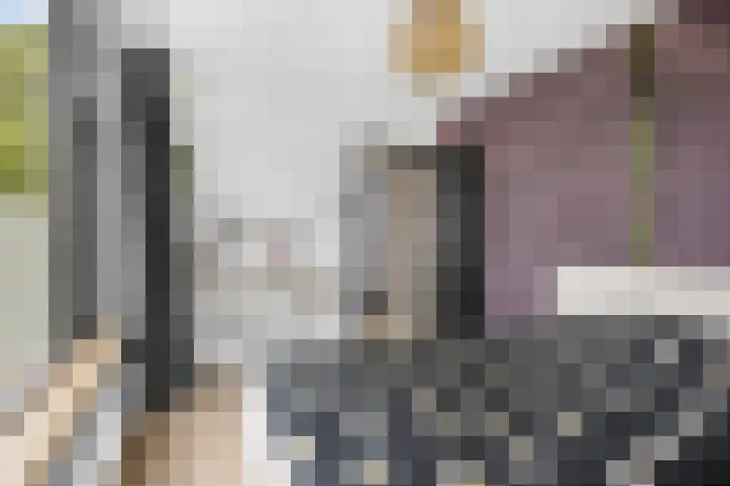 Ooievaarslaan 27 Sneek thumbnail 24