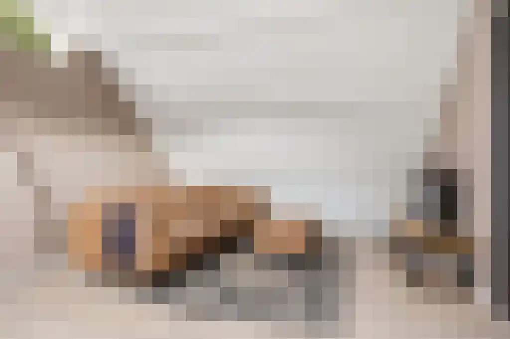 Ooievaarslaan 27 Sneek thumbnail 32