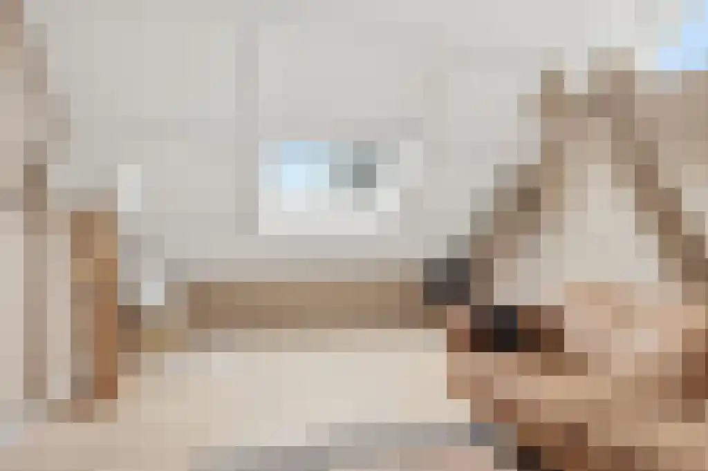 Ooievaarslaan 27 Sneek thumbnail 33
