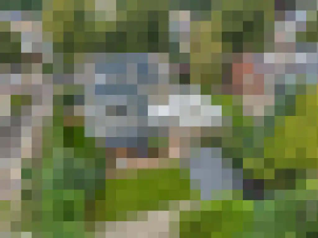 Ooievaarslaan 27 Sneek thumbnail 45