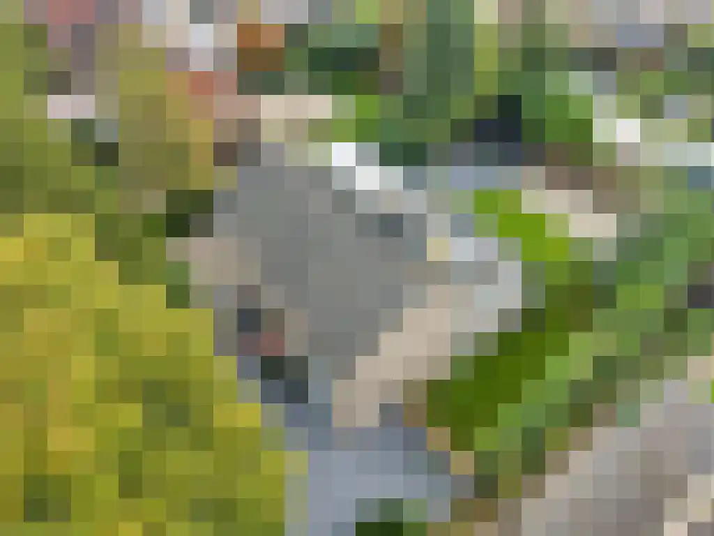 Ooievaarslaan 27 Sneek thumbnail 46