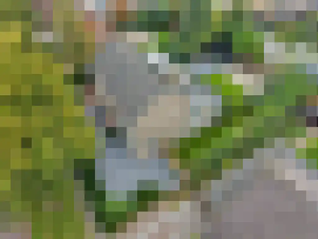 Ooievaarslaan 27 Sneek thumbnail 48