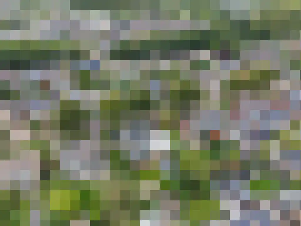 Ooievaarslaan 27 Sneek thumbnail 57