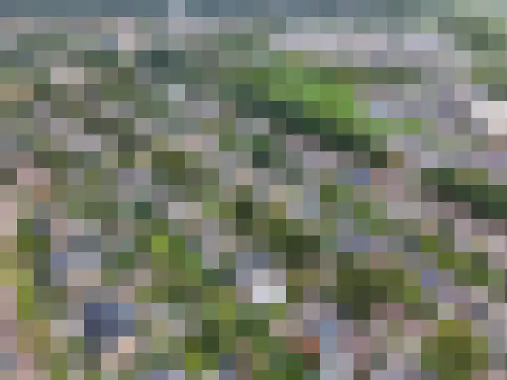 Ooievaarslaan 27 Sneek thumbnail 58