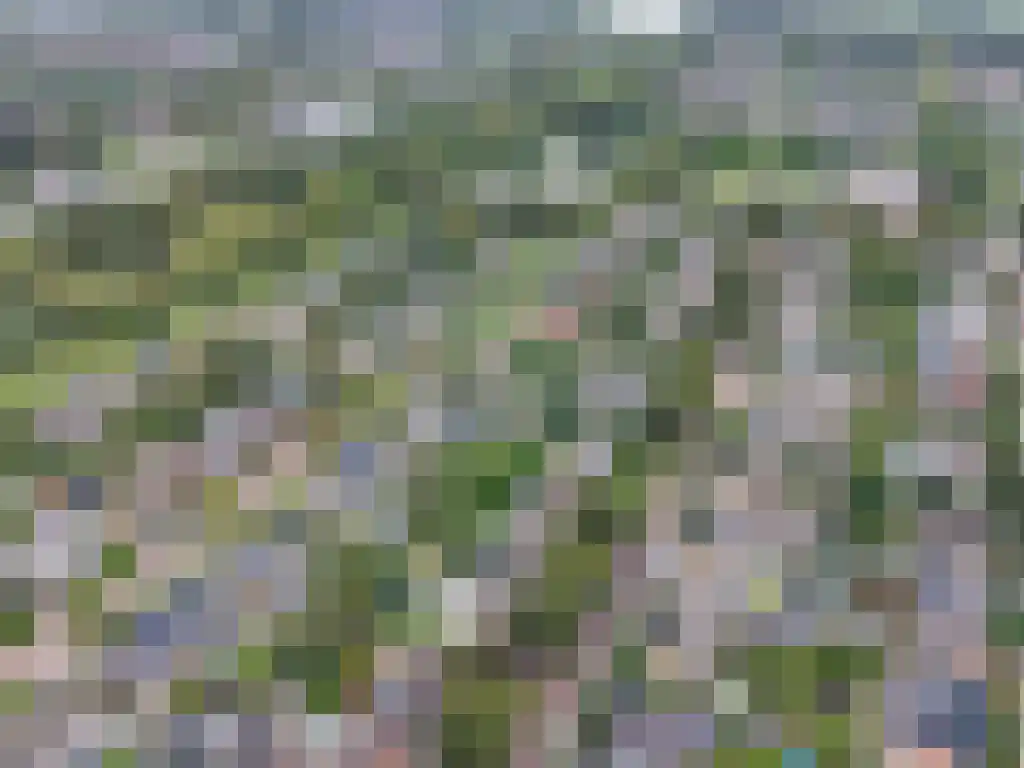 Ooievaarslaan 27 Sneek thumbnail 59
