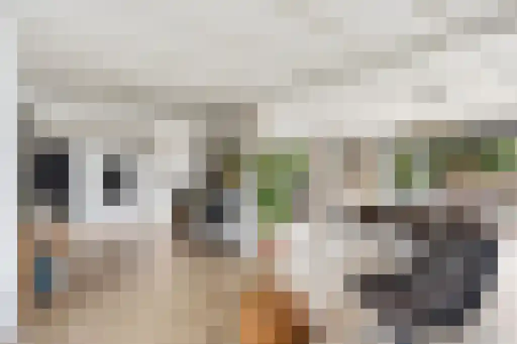 Ooievaarslaan 27 Sneek thumbnail 6