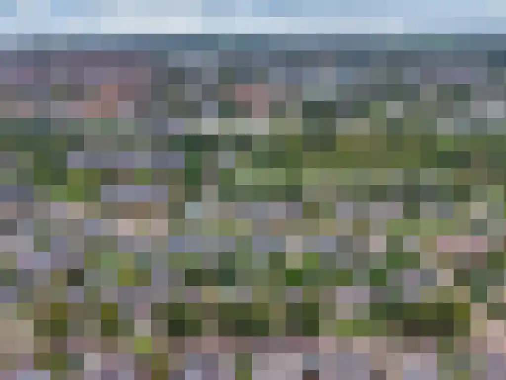 Ooievaarslaan 27 Sneek thumbnail 60