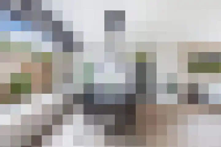 Ooievaarslaan 30 Sneek thumbnail 14