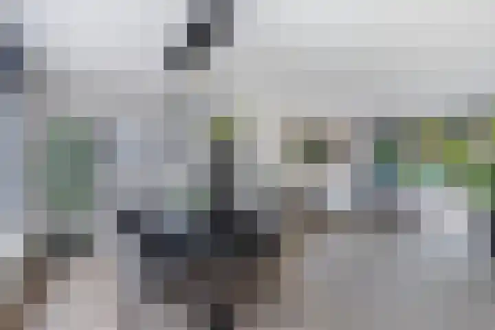 Ooievaarslaan 30 Sneek thumbnail 15