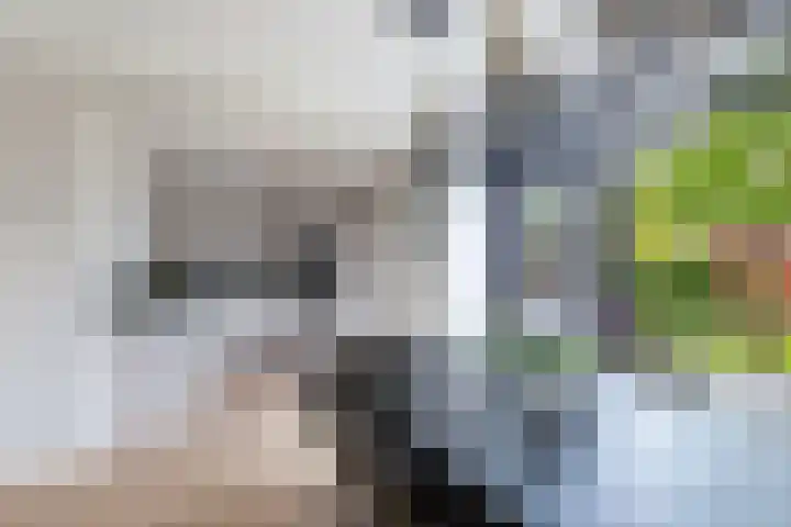 Ooievaarslaan 30 Sneek thumbnail 16
