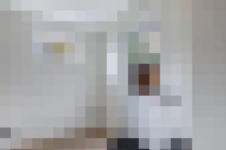 Ooievaarslaan 30 Sneek thumbnail 22