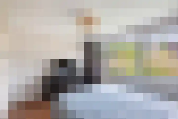 Ooievaarslaan 30 Sneek thumbnail 25