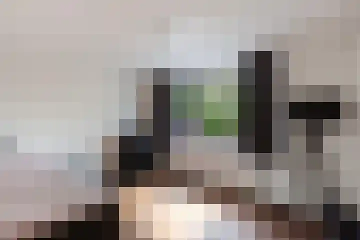 Ooievaarslaan 30 Sneek thumbnail 27