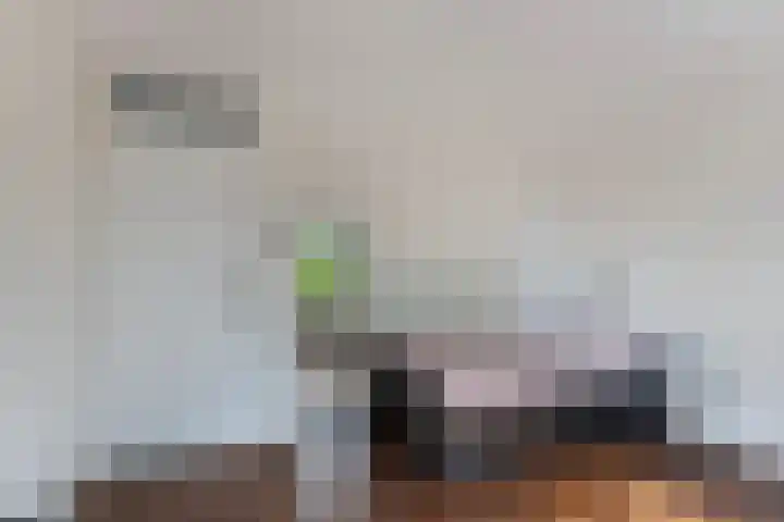 Ooievaarslaan 30 Sneek thumbnail 29