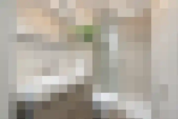 Ooievaarslaan 30 Sneek thumbnail 34