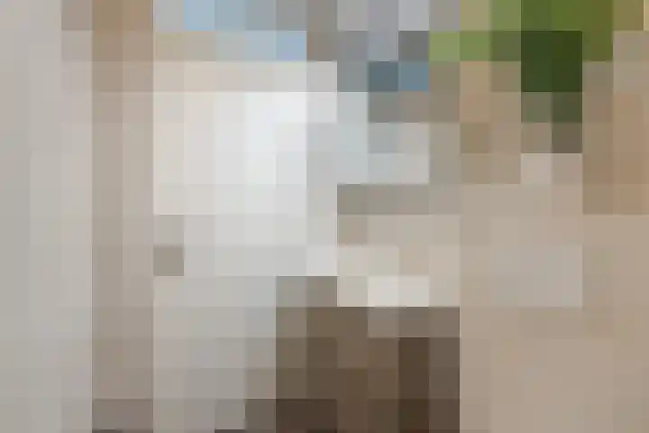 Ooievaarslaan 30 Sneek thumbnail 35