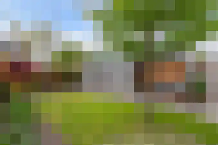 Ooievaarslaan 30 Sneek thumbnail 4