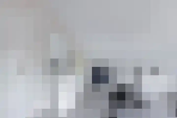 Ooievaarslaan 30 Sneek thumbnail 40