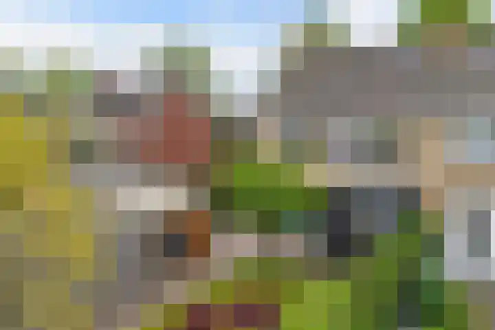 Ooievaarslaan 30 Sneek thumbnail 41