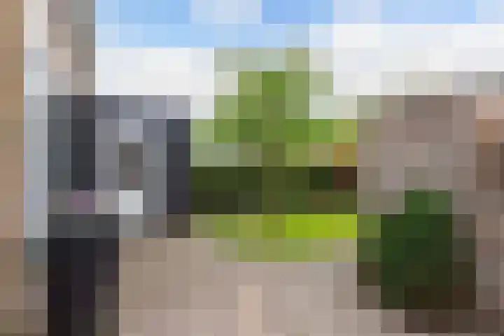 Ooievaarslaan 30 Sneek thumbnail 43