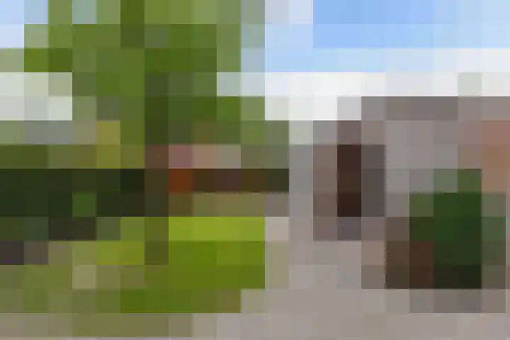 Ooievaarslaan 30 Sneek thumbnail 44
