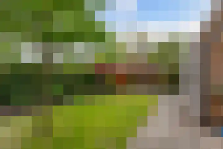 Ooievaarslaan 30 Sneek thumbnail 46
