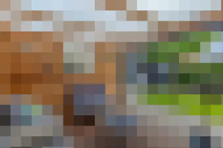 Ooievaarslaan 30 Sneek thumbnail 48