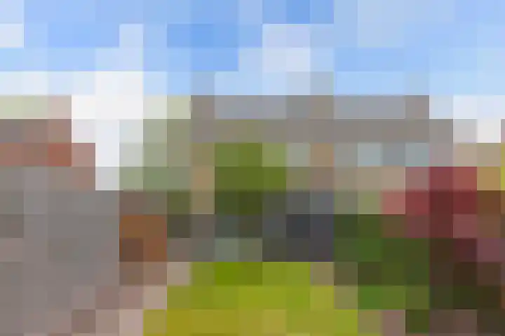 Ooievaarslaan 30 Sneek thumbnail 50