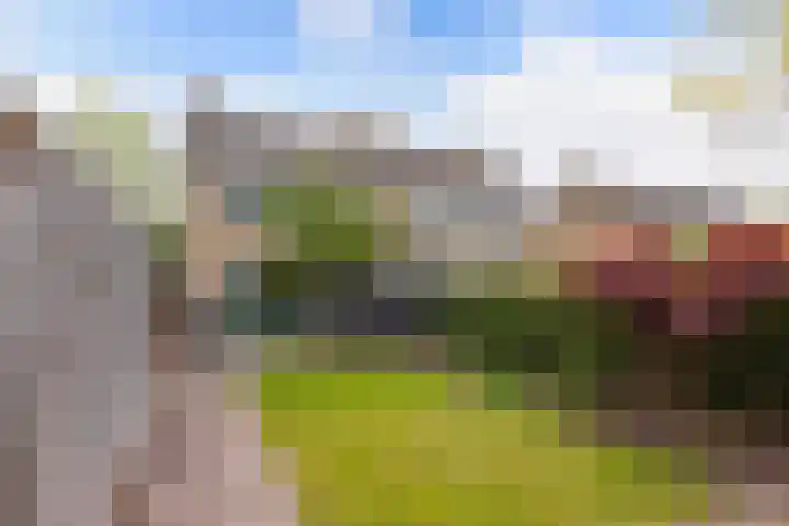 Ooievaarslaan 30 Sneek thumbnail 51