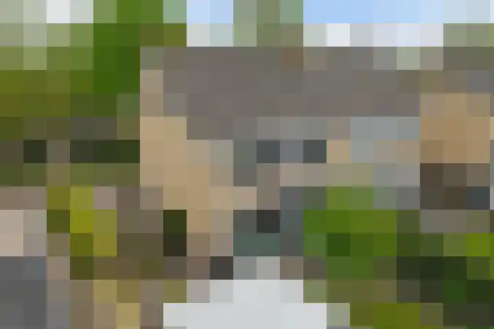 Ooievaarslaan 30 Sneek thumbnail 53