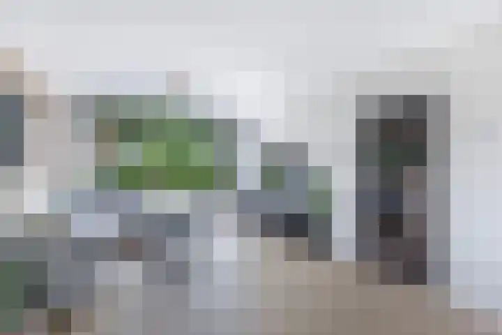 Ooievaarslaan 30 Sneek thumbnail 6
