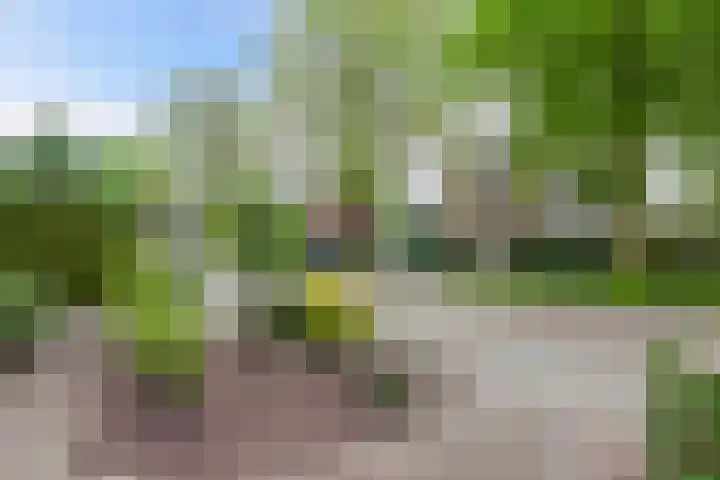 Ooievaarslaan 30 Sneek thumbnail 60