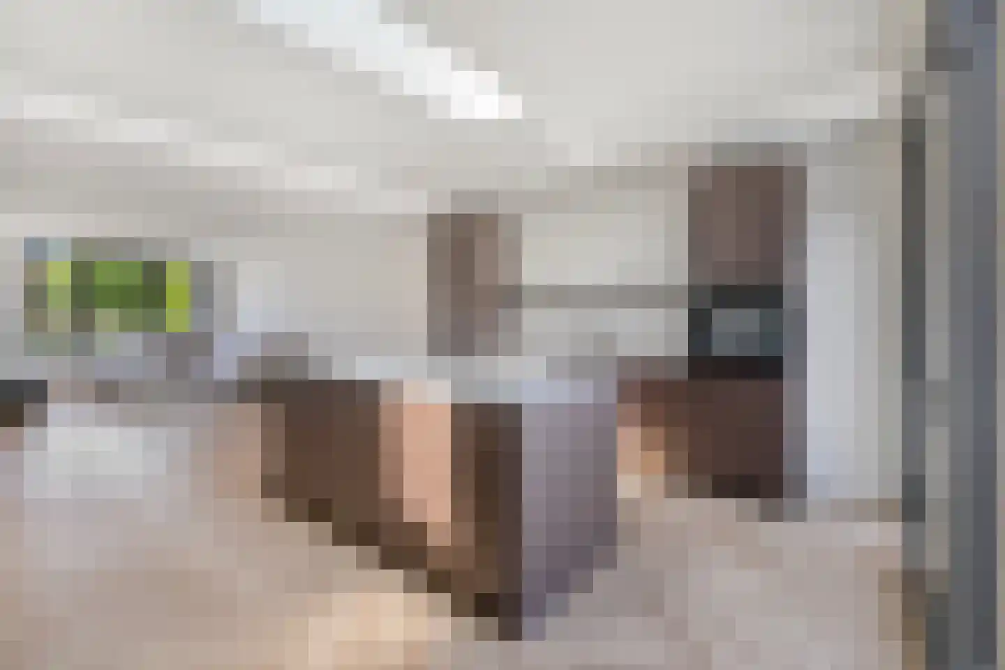 Ooievaarslaan 5 Landsmeer thumbnail 21