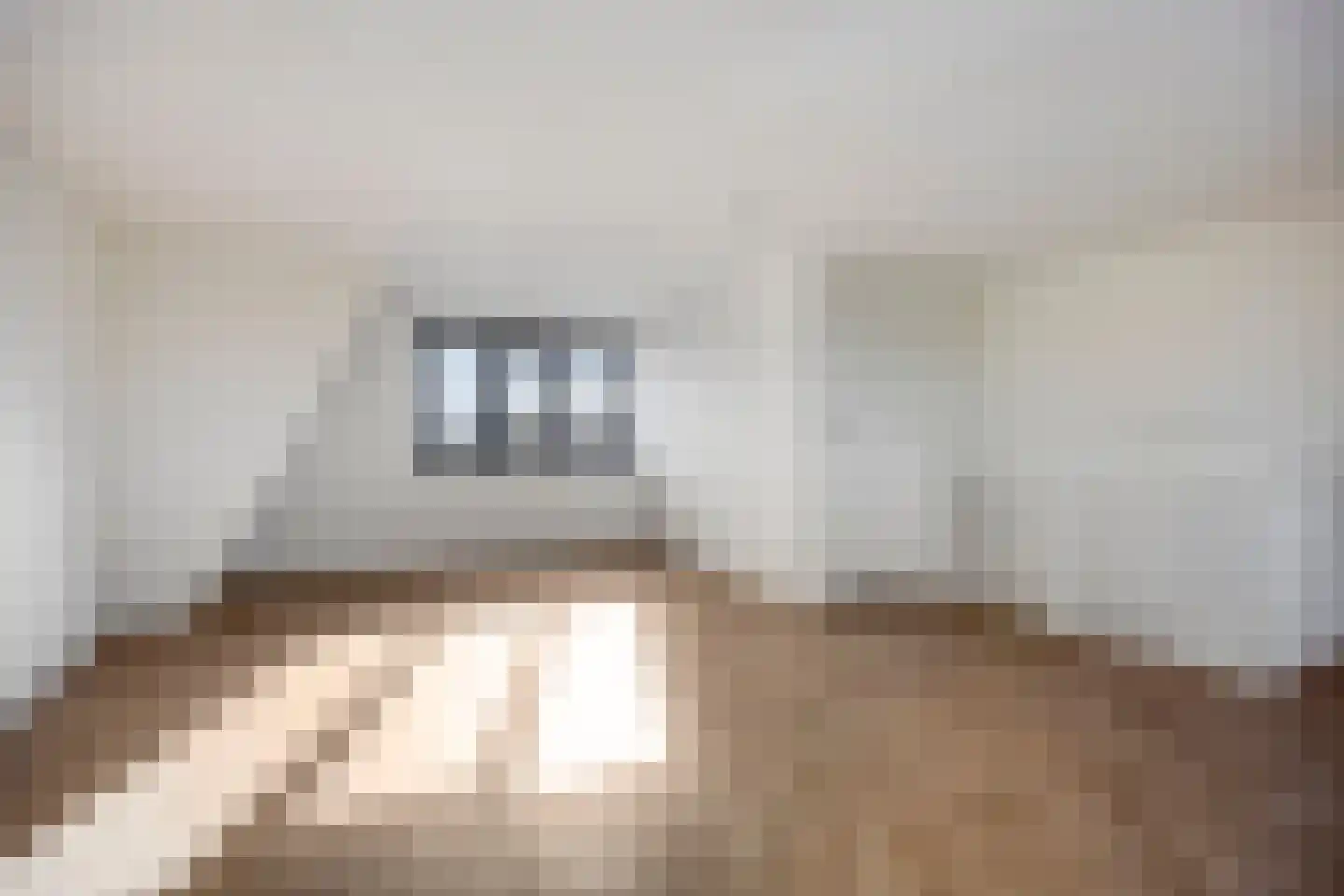 Ooievaarslaan 5 Landsmeer thumbnail 24