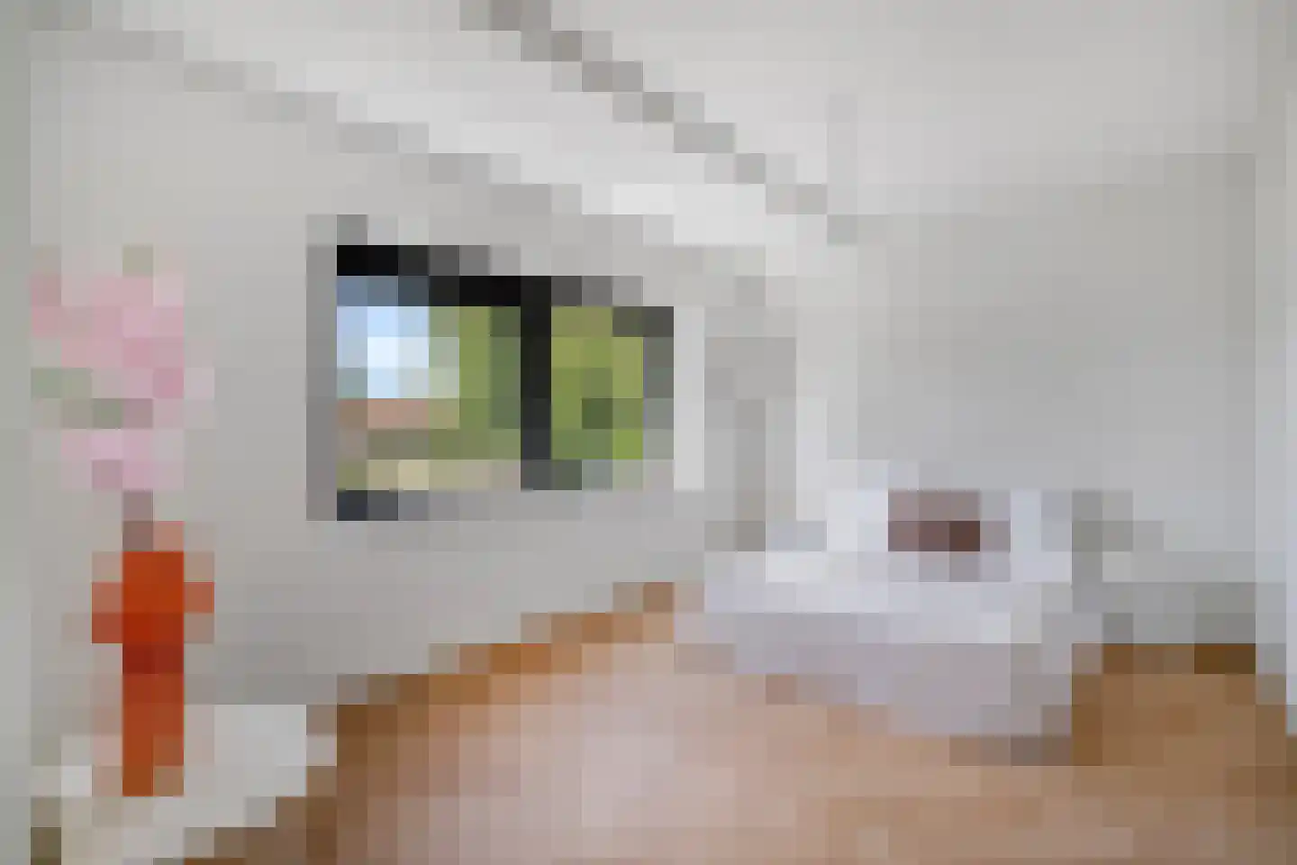 Ooievaarslaan 5 Landsmeer thumbnail 27