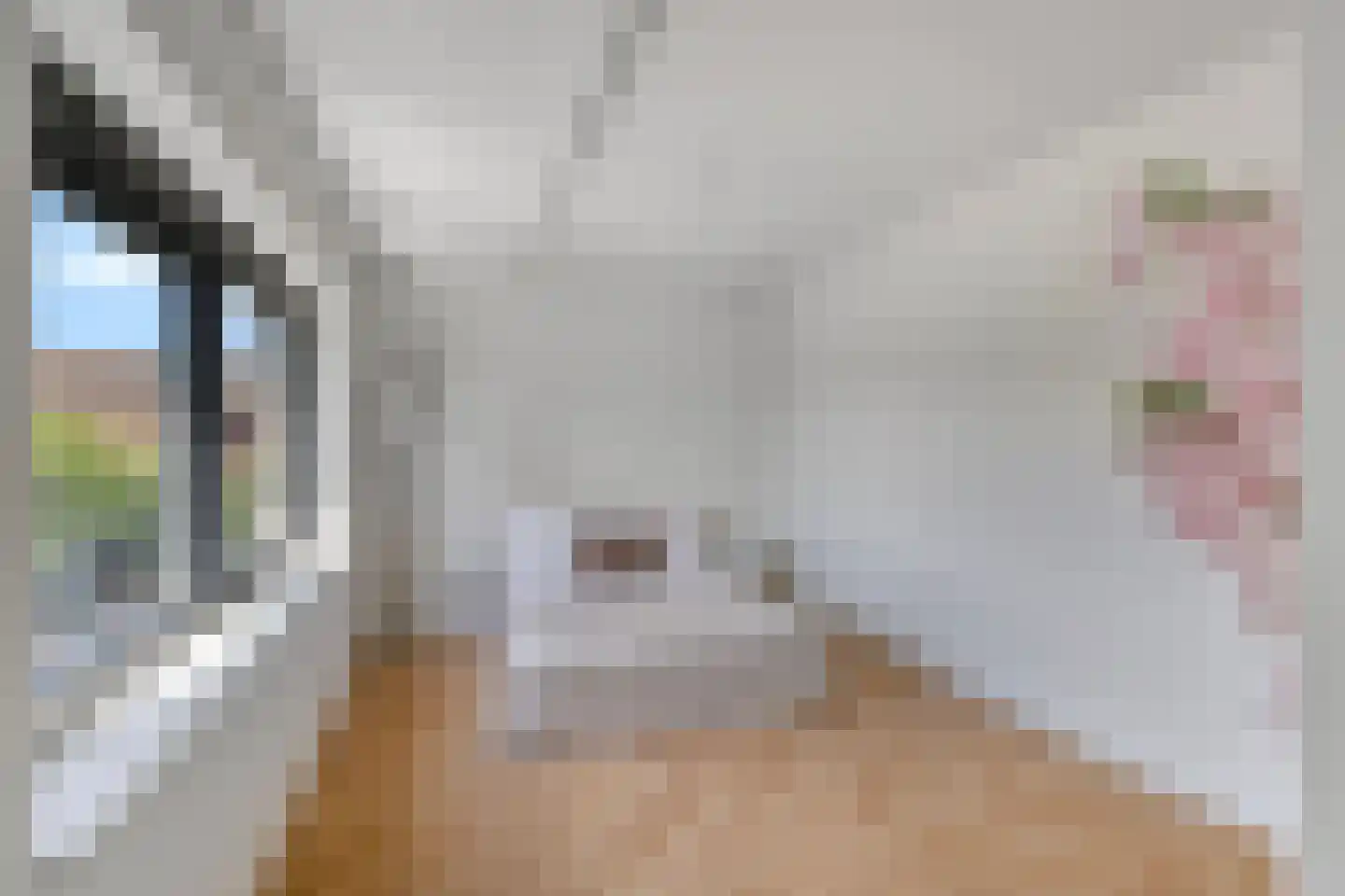 Ooievaarslaan 5 Landsmeer thumbnail 29