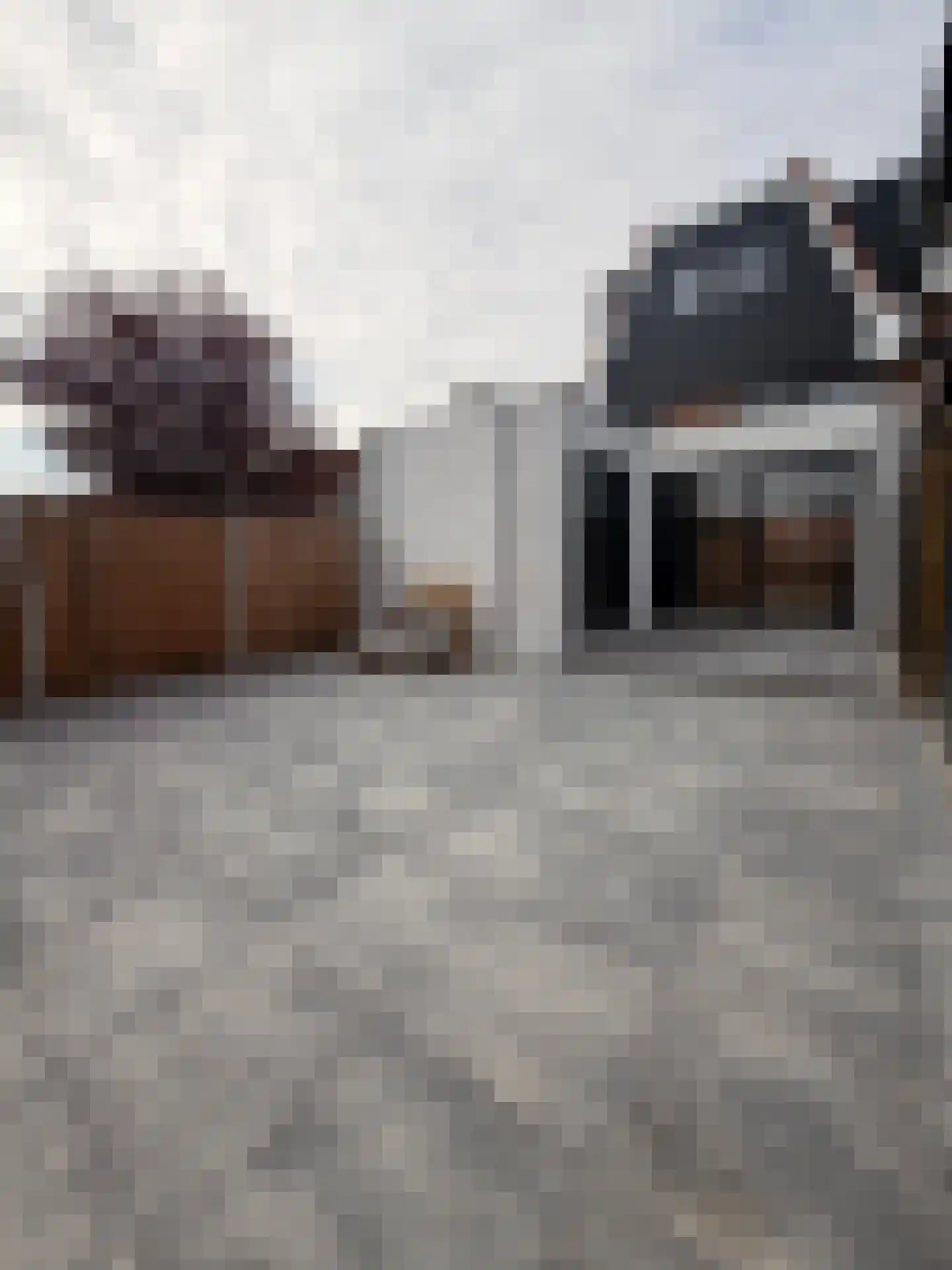 Ooievaarslaan 5 Landsmeer thumbnail 33