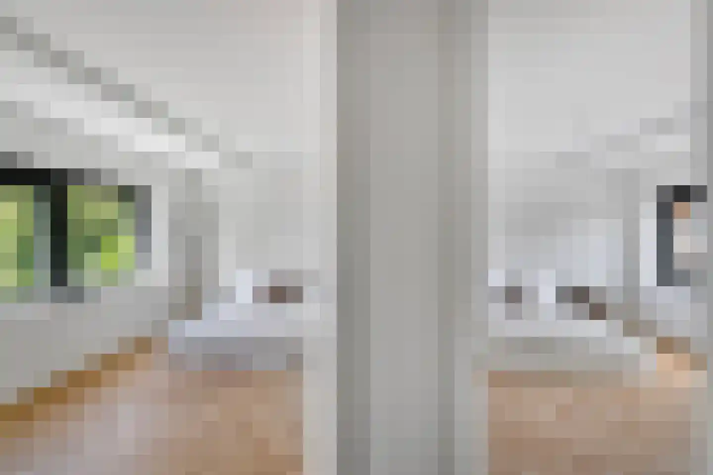 Ooievaarslaan 5 Landsmeer thumbnail 34