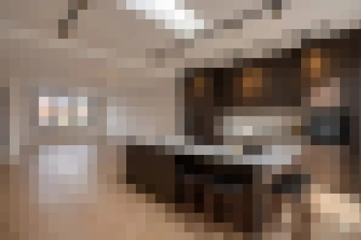 Ooievaarslaan 5 Landsmeer thumbnail 4