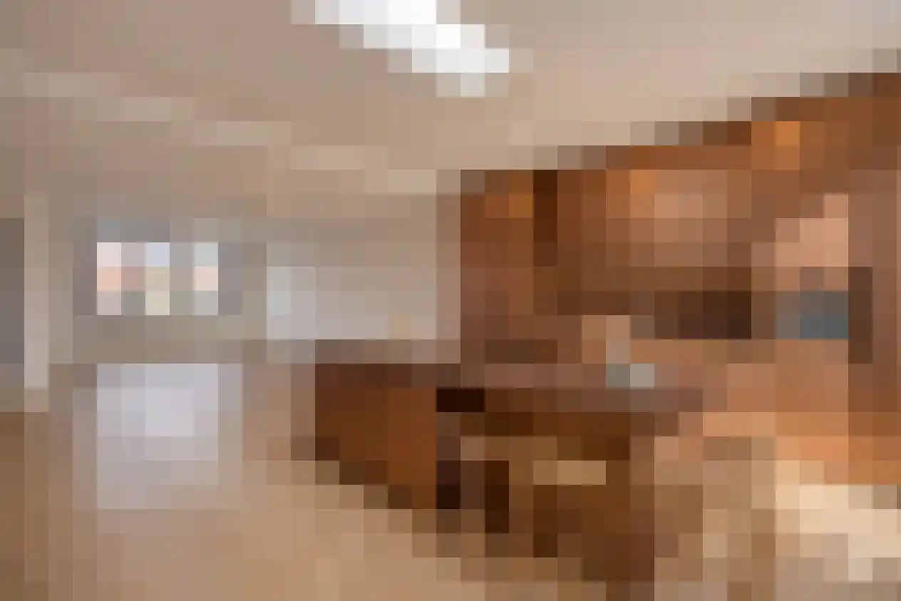 Ooievaarslaan 5 Landsmeer thumbnail 42