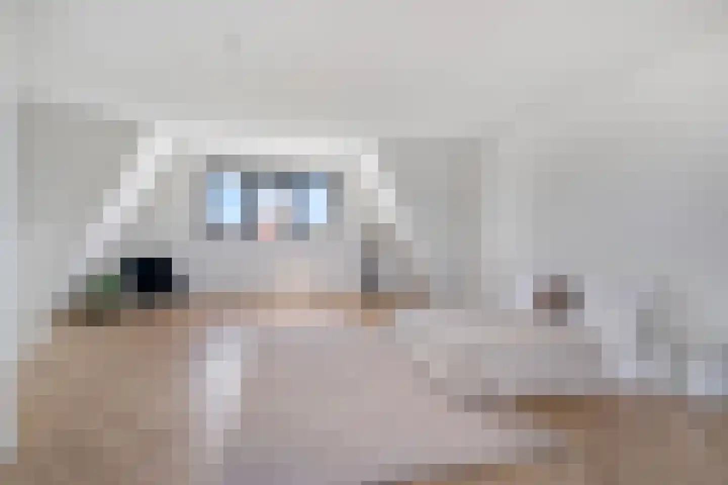 Ooievaarslaan 5 Landsmeer thumbnail 46