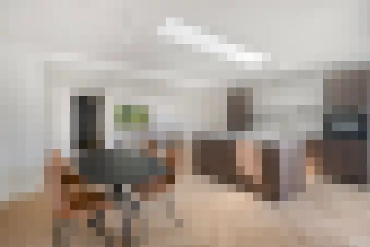 Ooievaarslaan 5 Landsmeer thumbnail 5