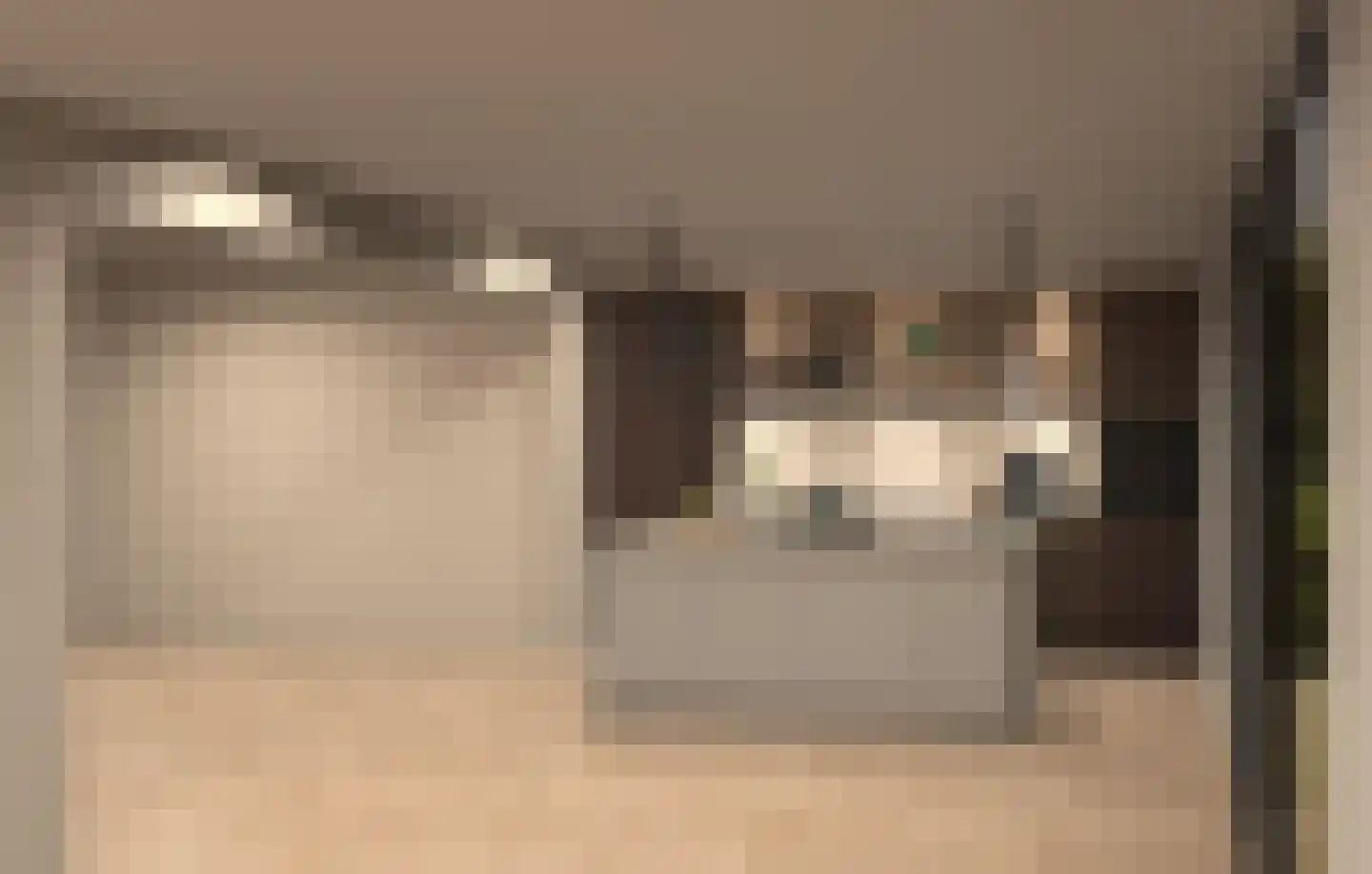 Ooievaarslaan 5 Landsmeer thumbnail 5
